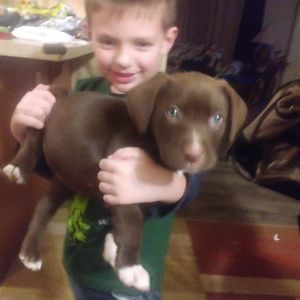 Meet your Posher, Johnathan